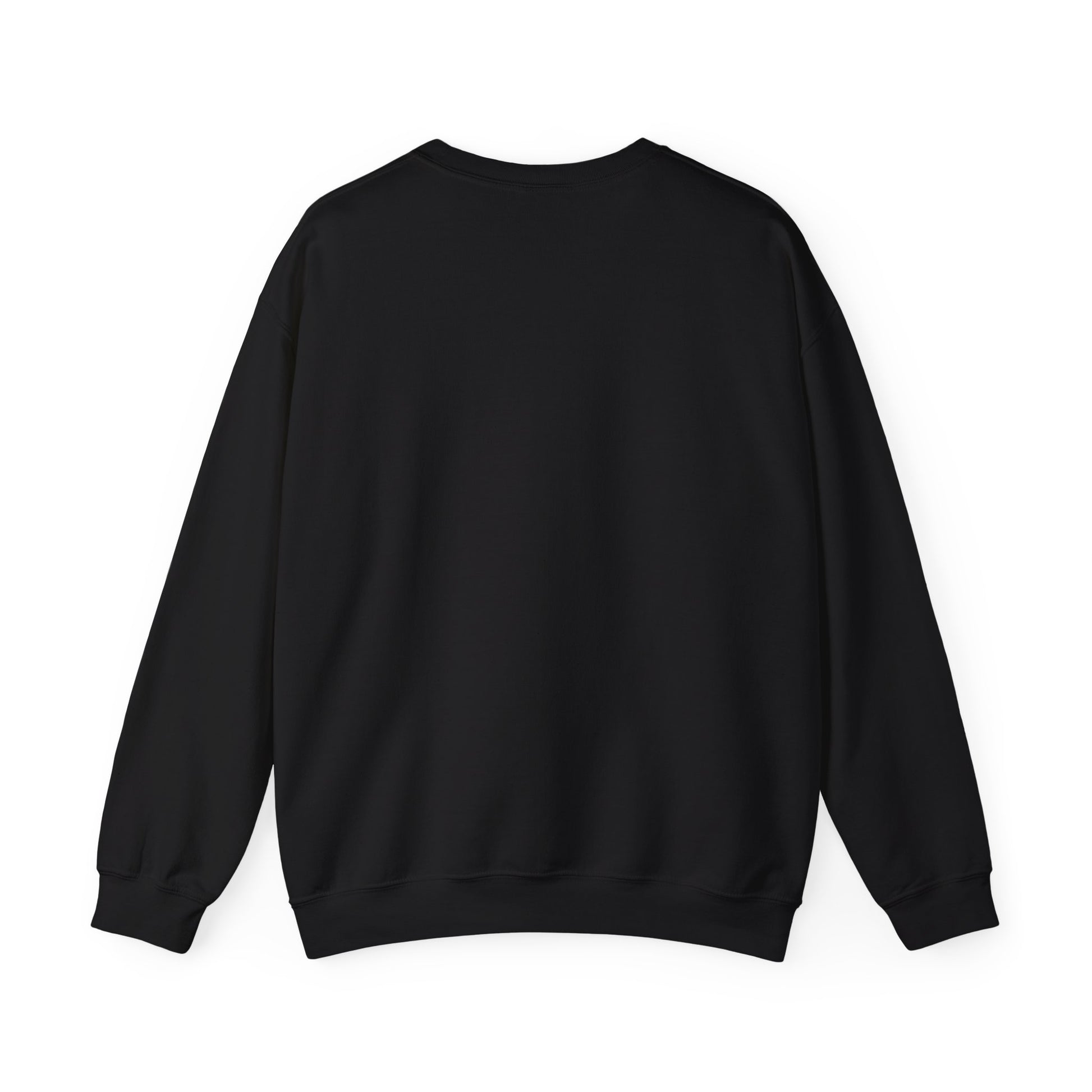 Back of the black crewneck sweatshirt showing there are no graphics or print on the back